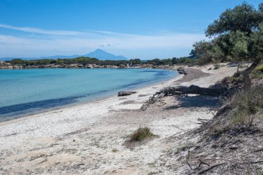 Karydi Sahili yakınlarındaki Sithonia kıyı şeridi, Chalkidiki, Orta Makedonya, Yunanistan