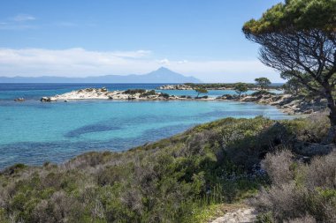 Karydi Sahili yakınlarındaki Sithonia kıyı şeridi, Chalkidiki, Orta Makedonya, Yunanistan
