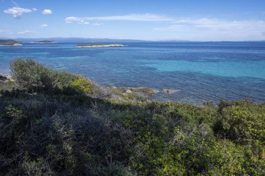 Karydi Sahili yakınlarındaki Sithonia kıyı şeridi, Chalkidiki, Orta Makedonya, Yunanistan
