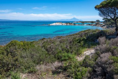 Karydi Sahili yakınlarındaki Sithonia kıyı şeridi, Chalkidiki, Orta Makedonya, Yunanistan