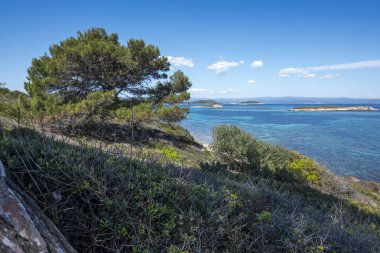 Karydi Sahili yakınlarındaki Sithonia kıyı şeridi, Chalkidiki, Orta Makedonya, Yunanistan