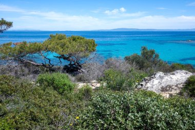 Karydi Sahili yakınlarındaki Sithonia kıyı şeridi, Chalkidiki, Orta Makedonya, Yunanistan