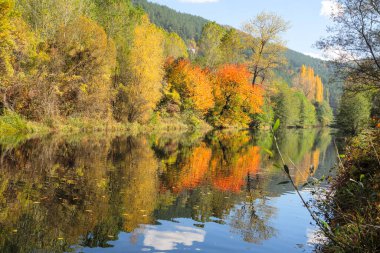 Pancharevo Gölü çevresindeki sonbahar manzarası, Sofya şehir bölgesi, Bulgaristan