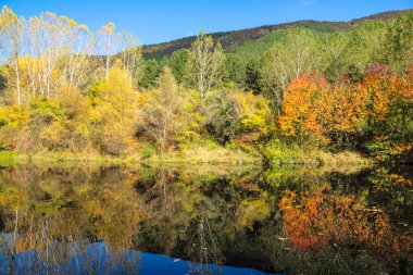 Pancharevo Gölü çevresindeki sonbahar manzarası, Sofya şehir bölgesi, Bulgaristan