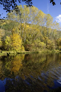 Pancharevo Gölü çevresindeki sonbahar manzarası, Sofya şehir bölgesi, Bulgaristan