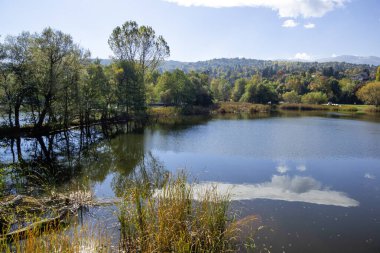 Pancharevo Gölü çevresindeki sonbahar manzarası, Sofya şehir bölgesi, Bulgaristan