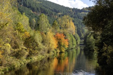Pancharevo Gölü çevresindeki sonbahar manzarası, Sofya şehir bölgesi, Bulgaristan