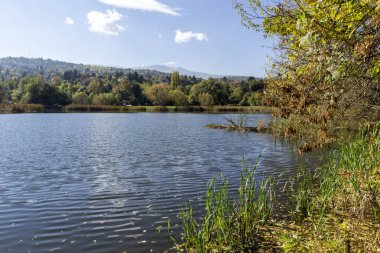 Pancharevo Gölü çevresindeki sonbahar manzarası, Sofya şehir bölgesi, Bulgaristan