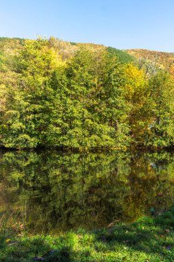 Pancharevo Gölü çevresindeki sonbahar manzarası, Sofya şehir bölgesi, Bulgaristan