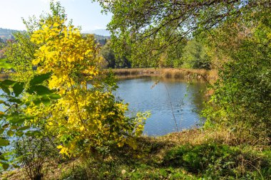Pancharevo Gölü çevresindeki sonbahar manzarası, Sofya şehir bölgesi, Bulgaristan