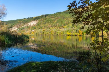 Pancharevo Gölü çevresindeki sonbahar manzarası, Sofya şehir bölgesi, Bulgaristan