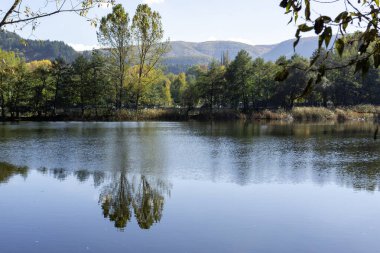 Pancharevo Gölü çevresindeki sonbahar manzarası, Sofya şehir bölgesi, Bulgaristan