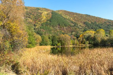 Pancharevo Gölü çevresindeki sonbahar manzarası, Sofya şehir bölgesi, Bulgaristan