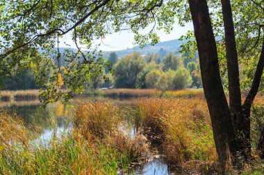 Pancharevo Gölü çevresindeki sonbahar manzarası, Sofya şehir bölgesi, Bulgaristan