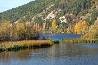 Pancharevo Gölü çevresindeki sonbahar manzarası, Sofya şehir bölgesi, Bulgaristan