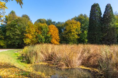 Bulgaristan 'ın Sofya kentindeki South Park' ın Muhteşem Sonbahar Manzarası