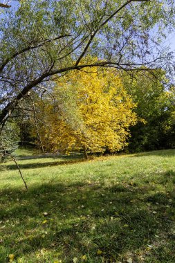 Bulgaristan 'ın Sofya kentindeki South Park' ın Muhteşem Sonbahar Manzarası