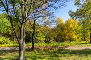 Bulgaristan 'ın Sofya kentindeki South Park' ın Muhteşem Sonbahar Manzarası