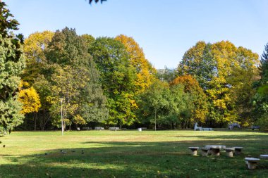 Bulgaristan 'ın Sofya kentindeki South Park' ın Muhteşem Sonbahar Manzarası