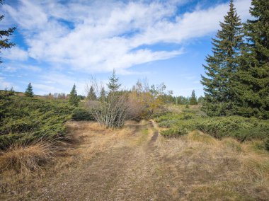 Bulgaristan 'ın Sofya Şehir Bölgesi Vitosha Dağı' ndaki Konyarnika bölgesinin sonbahar manzarası