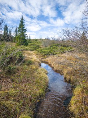 Bulgaristan 'ın Sofya Şehir Bölgesi Vitosha Dağı' ndaki Konyarnika bölgesinin sonbahar manzarası