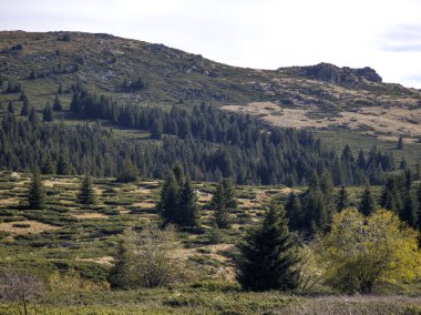 Bulgaristan 'ın Sofya Şehir Bölgesi Vitosha Dağı' ndaki Konyarnika bölgesinin sonbahar manzarası
