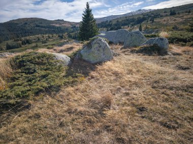 Bulgaristan 'ın Sofya Şehir Bölgesi Vitosha Dağı' ndaki Konyarnika bölgesinin sonbahar manzarası