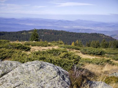Bulgaristan 'ın Sofya Şehir Bölgesi Vitosha Dağı' ndaki Konyarnika bölgesinin sonbahar manzarası
