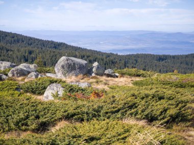 Bulgaristan 'ın Sofya Şehir Bölgesi Vitosha Dağı' ndaki Konyarnika bölgesinin sonbahar manzarası