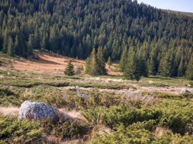 Bulgaristan 'ın Sofya Şehir Bölgesi Vitosha Dağı' ndaki Konyarnika bölgesinin sonbahar manzarası