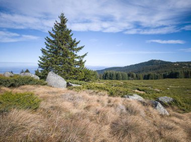 Bulgaristan 'ın Sofya Şehir Bölgesi Vitosha Dağı' ndaki Konyarnika bölgesinin sonbahar manzarası