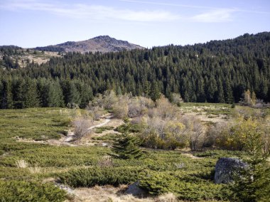 Bulgaristan 'ın Sofya Şehir Bölgesi Vitosha Dağı' ndaki Konyarnika bölgesinin sonbahar manzarası
