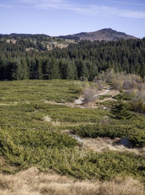 Bulgaristan 'ın Sofya Şehir Bölgesi Vitosha Dağı' ndaki Konyarnika bölgesinin sonbahar manzarası