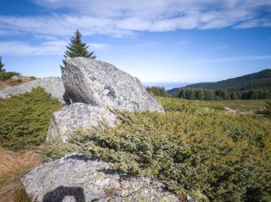 Bulgaristan 'ın Sofya Şehir Bölgesi Vitosha Dağı' ndaki Konyarnika bölgesinin sonbahar manzarası