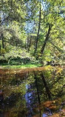 Bulgaristan 'ın başkenti Sofya' nın Pancharevo Gölü 'nden geçen Iskar Nehri' nin Sonbahar Manzarası