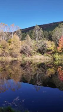 Bulgaristan 'ın başkenti Sofya' nın Pancharevo Gölü 'nden geçen Iskar Nehri' nin Sonbahar Manzarası