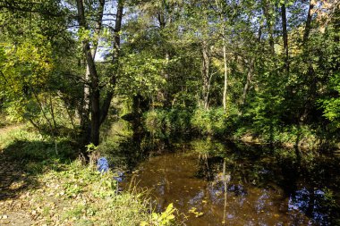 Bulgaristan 'ın Sofya kentinin Pancharevo Gölü yakınlarından geçen Iskar Nehri' nin Sonbahar Manzarası