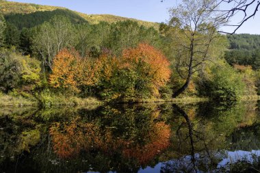 Bulgaristan 'ın Sofya kentinin Pancharevo Gölü yakınlarından geçen Iskar Nehri' nin Sonbahar Manzarası