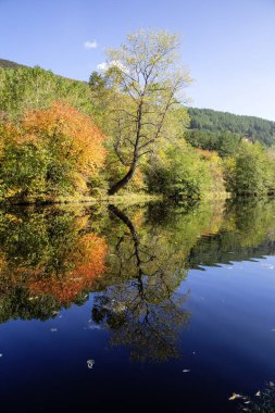 Bulgaristan 'ın Sofya kentinin Pancharevo Gölü yakınlarından geçen Iskar Nehri' nin Sonbahar Manzarası