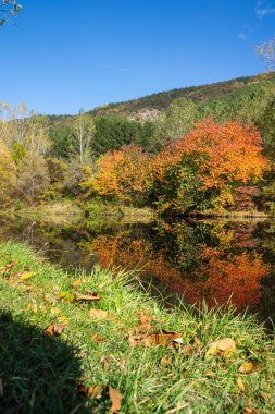 Bulgaristan 'ın Sofya kentinin Pancharevo Gölü yakınlarından geçen Iskar Nehri' nin Sonbahar Manzarası