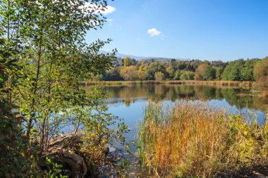 Bulgaristan 'ın Sofya kentinin Pancharevo Gölü yakınlarından geçen Iskar Nehri' nin Sonbahar Manzarası
