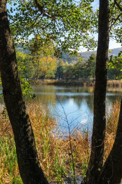 Bulgaristan 'ın Sofya kentinin Pancharevo Gölü yakınlarından geçen Iskar Nehri' nin Sonbahar Manzarası