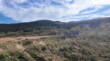 Bulgaristan 'ın Sofya Şehir Bölgesi Vitosha Dağı' ndaki Konyarnika bölgesinin sonbahar manzarası