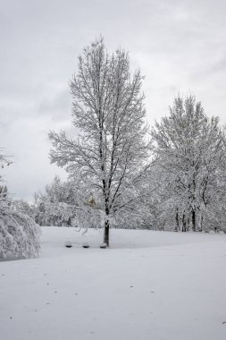Bulgaristan 'ın Sofya kentindeki South Park' ın İnanılmaz Kış Panoraması