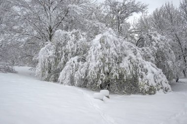 Bulgaristan 'ın Sofya kentindeki South Park' ın İnanılmaz Kış Panoraması