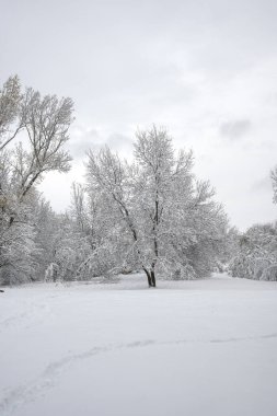 Bulgaristan 'ın Sofya kentindeki South Park' ın İnanılmaz Kış Panoraması