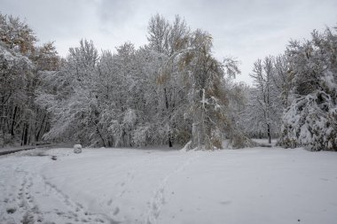 Bulgaristan 'ın Sofya kentindeki South Park' ın İnanılmaz Kış Panoraması