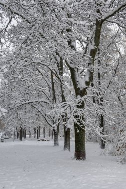 Bulgaristan 'ın Sofya kentindeki South Park' ın İnanılmaz Kış Panoraması
