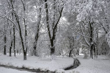 Bulgaristan 'ın Sofya kentindeki South Park' ın İnanılmaz Kış Panoraması