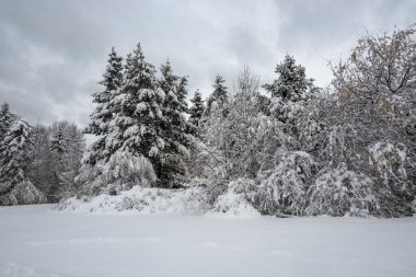 Bulgaristan 'ın Sofya kentindeki South Park' ın İnanılmaz Kış Panoraması